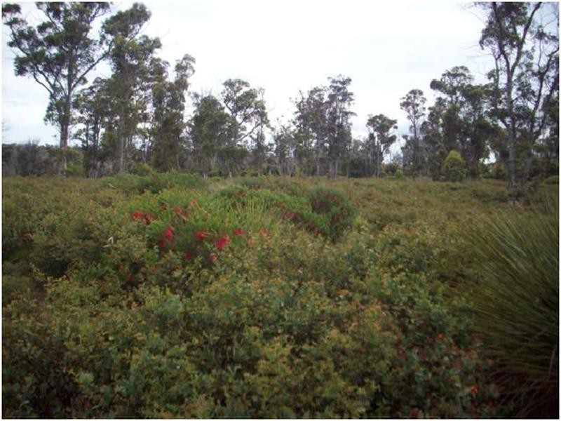 LOT 11 Young Road, Kendenup WA 6323