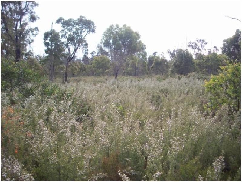 LOT 11 Young Road, Kendenup WA 6323