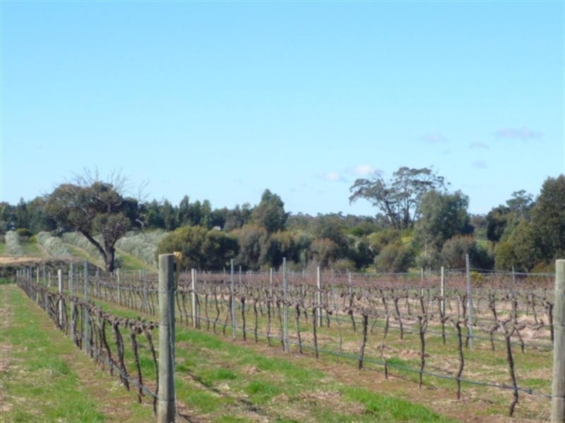 109 McCook Road, Mount Barker WA 6324