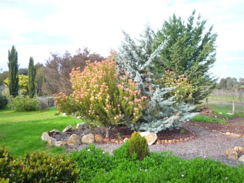 109 McCook Road, Mount Barker WA 6324