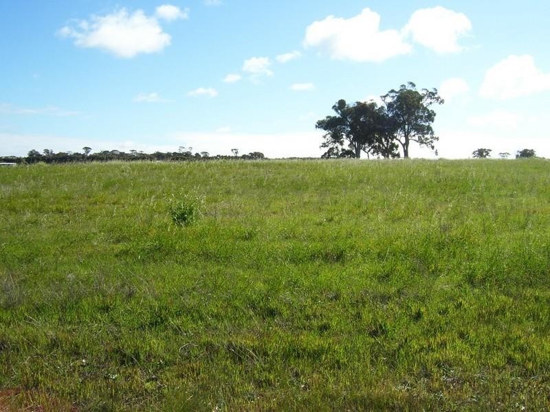 Lot 2095/ Collins Road, Kendenup WA 6323