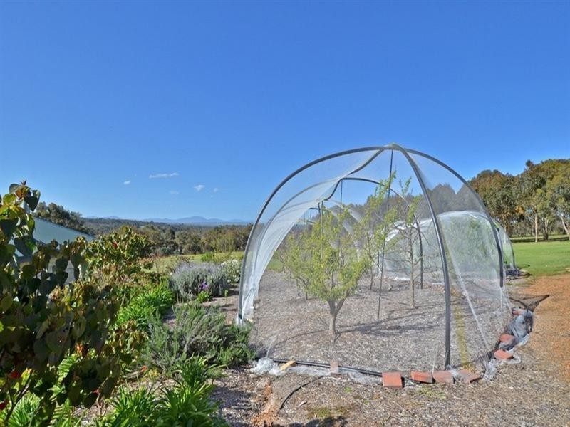 LOT 20 Orient Road, Mount Barker WA 6324