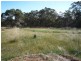 215 Mt Barker Porongurup Road, Mount Barker WA 6324