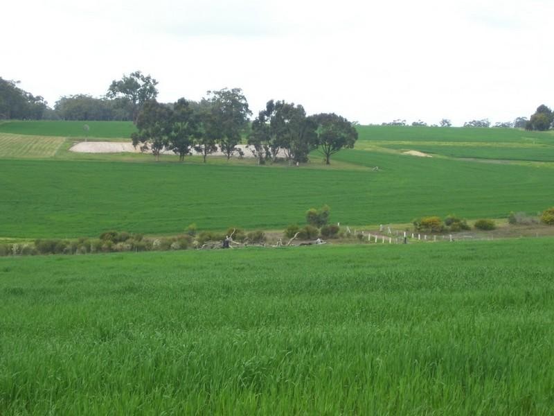 223 Sturdee Road, Mount Barker WA 6324