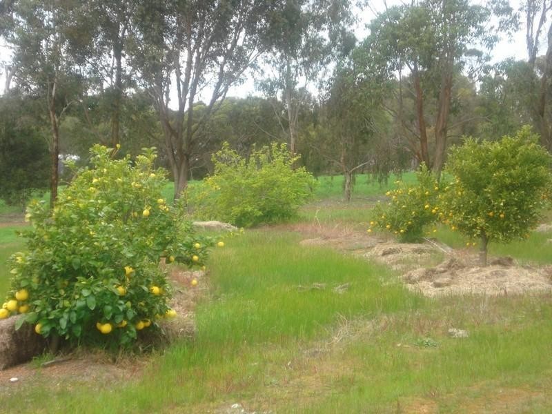 21 Hudson Road, Kendenup WA 6323