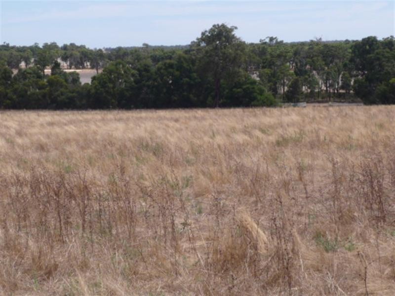 37 Frankland Cranbrook Road, Frankland WA 6396