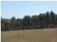 LOT 3 Mt Barker Porongurup Road, Porongurup WA 6324