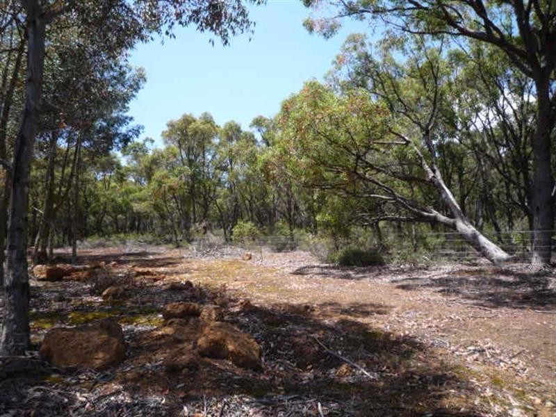 LOT 3 Mt Barker Porongurup Road, Porongurup WA 6324