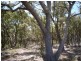 LOT 3 Mt Barker Porongurup Road, Porongurup WA 6324