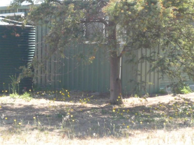 76/ Seventh Avenue, Kendenup WA 6323