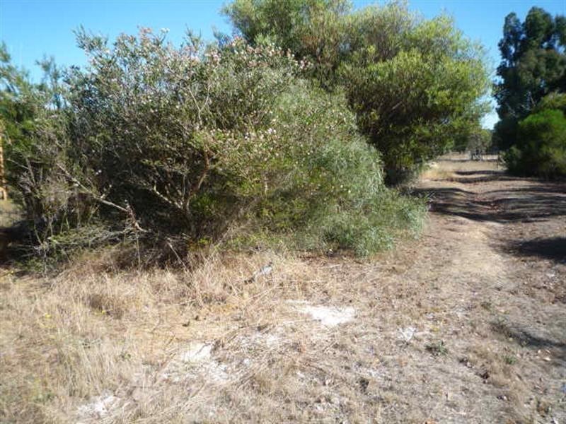 114 Fifth Avenue, Kendenup WA 6323