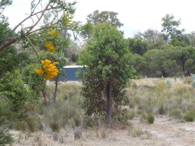 Lot 23/ Trimmer Street, Tenterden WA 6322