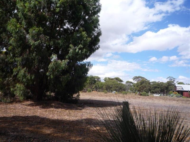 Lot 350, 349, 3 Third Avenue, Kendenup WA 6323