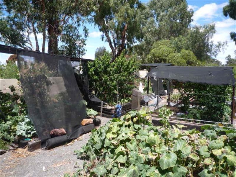 Lot 106/ King Street, Cranbrook WA 6321