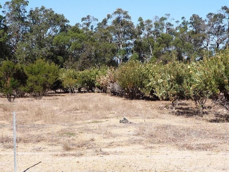 Lot 703 Bloomfield Rise, Mount Barker WA 6324