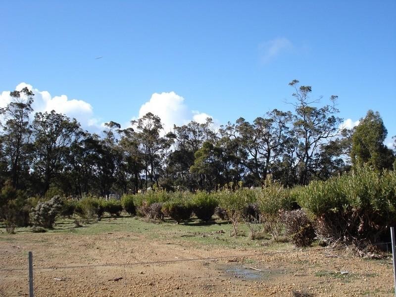 Lot 703 Bloomfield Rise, Mount Barker WA 6324