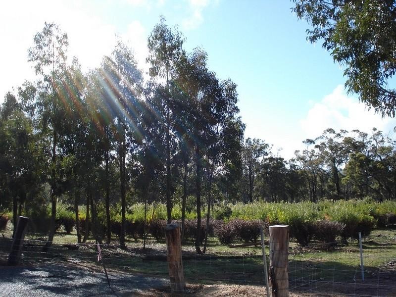 Lot 703 Bloomfield Rise, Mount Barker WA 6324