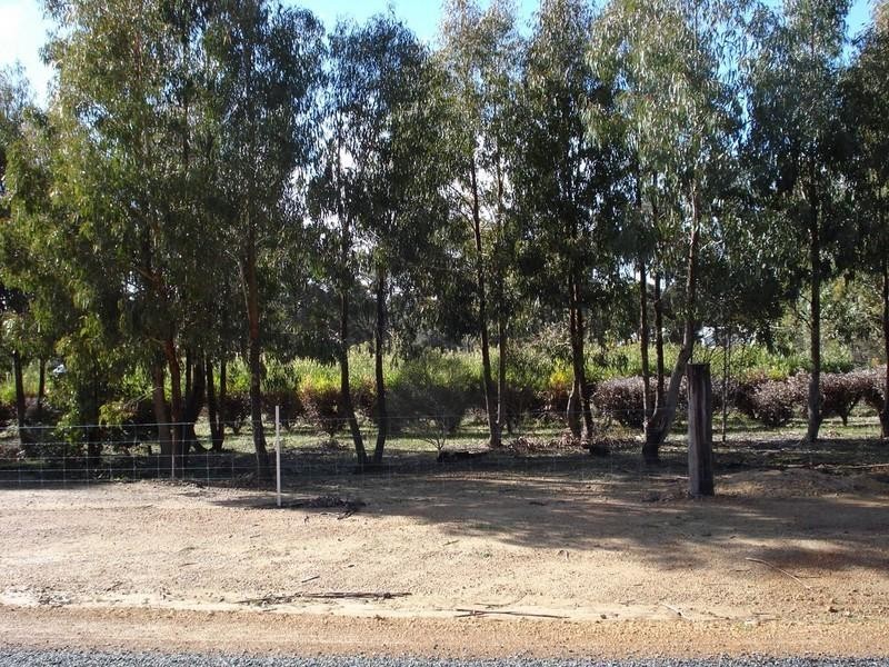Lot 703 Bloomfield Rise, Mount Barker WA 6324