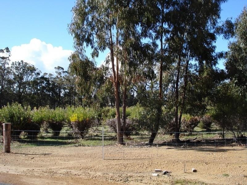 Lot 703 Bloomfield Rise, Mount Barker WA 6324