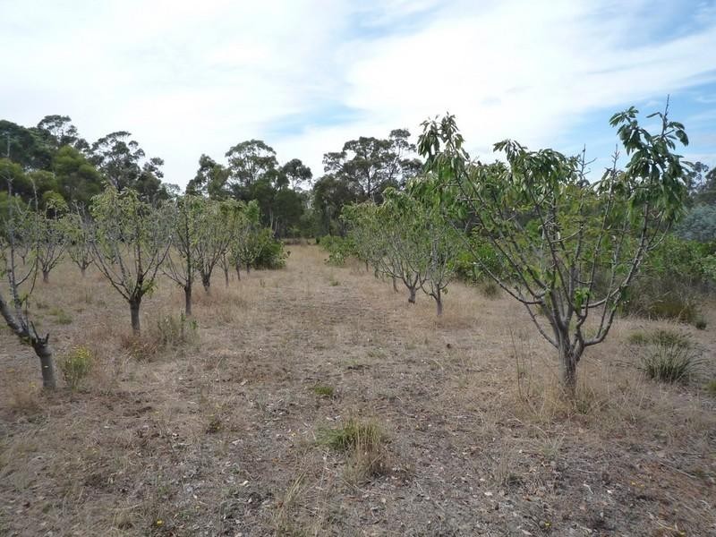 60 Mondurup Street, Mount Barker WA 6324