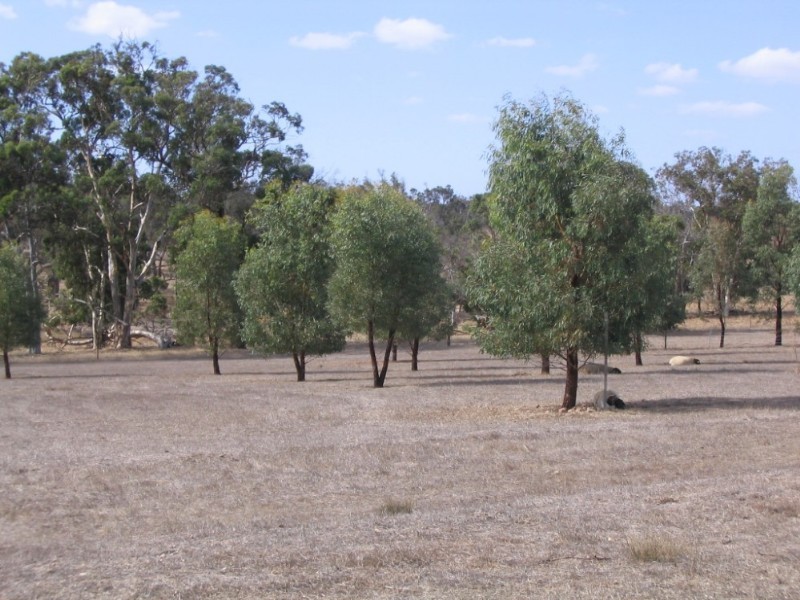 Kendenup WA 6323