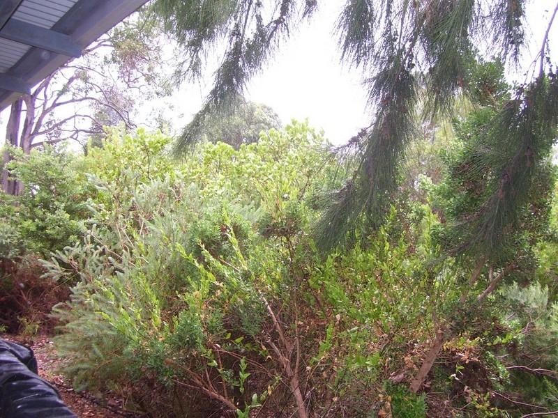 LOT 3 Marmion Street, Mount Barker WA 6324