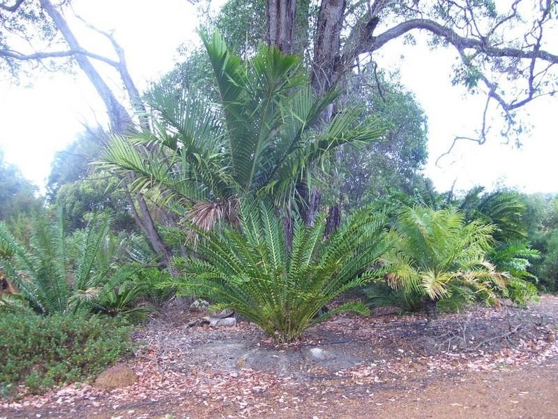 LOT 3 Marmion Street, Mount Barker WA 6324