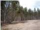 Lot 783 Pile Road, Denbarker WA 6324