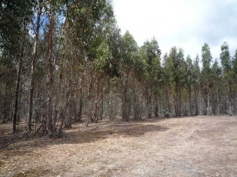 Lot 783 Pile Road, Denbarker WA 6324