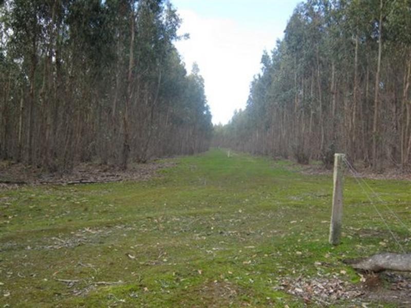 Lot 783 Pile Road, Denbarker WA 6324