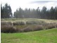 Lot 783 Pile Road, Denbarker WA 6324
