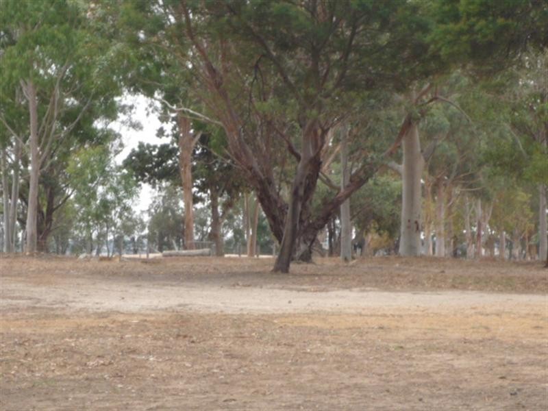 Lot 150 Beattie Road, Kendenup WA 6323