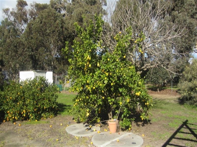 124 Second Avenue, Kendenup WA 6323