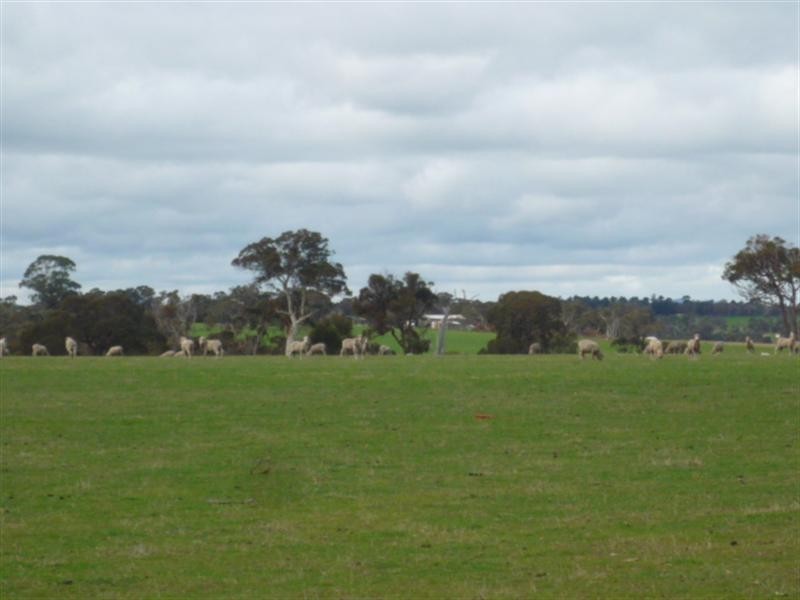Lot 303 Depledge Road, Kendenup WA 6323