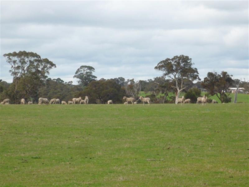 Lot 303 Depledge Road, Kendenup WA 6323