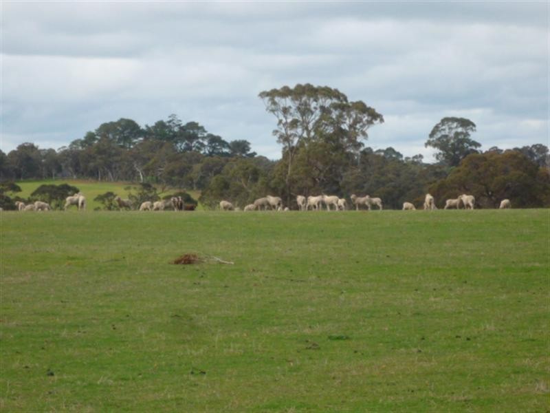 Lot 303 Depledge Road, Kendenup WA 6323