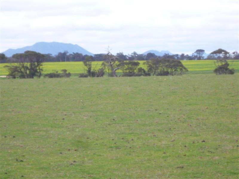 Lot 303 Depledge Road, Kendenup WA 6323