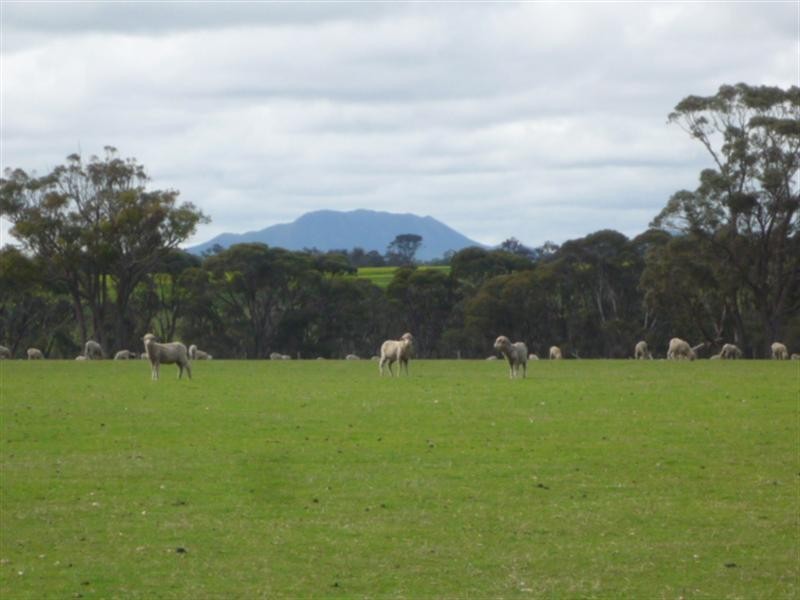 Lot 303 Depledge Road, Kendenup WA 6323