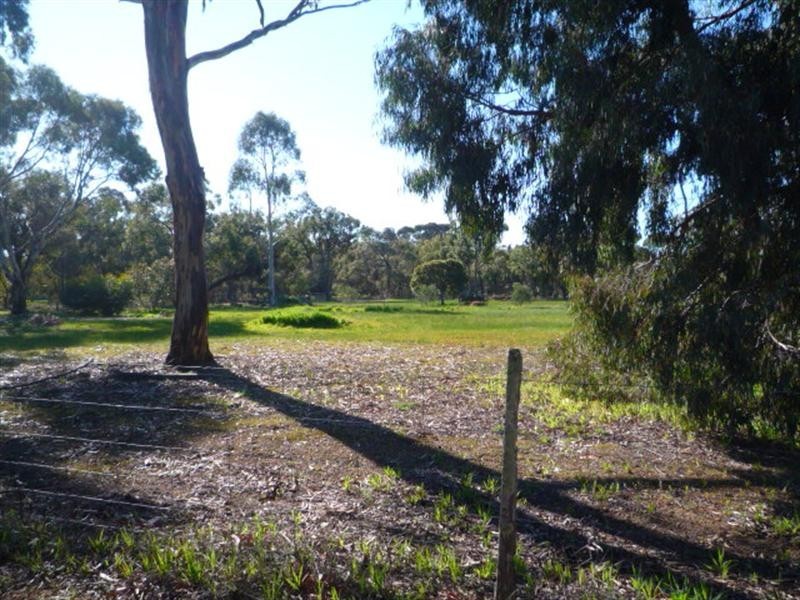 349/Lot 350, 3 Third Avenue, Kendenup WA 6323