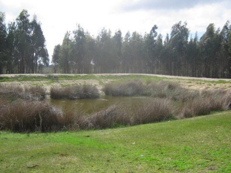 Lot 783 Pile Road, Mount Barker WA 6324