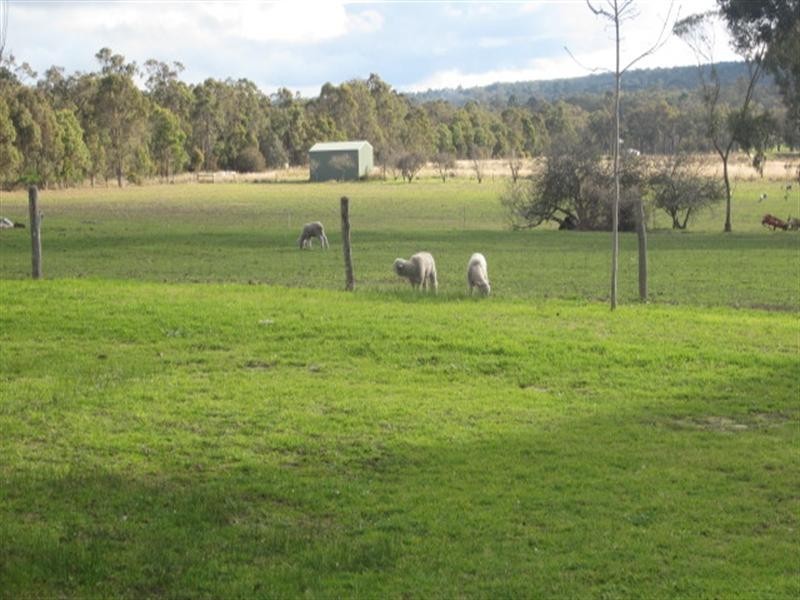 Lot 50 Porongurups Road, Mount Barker WA 6324