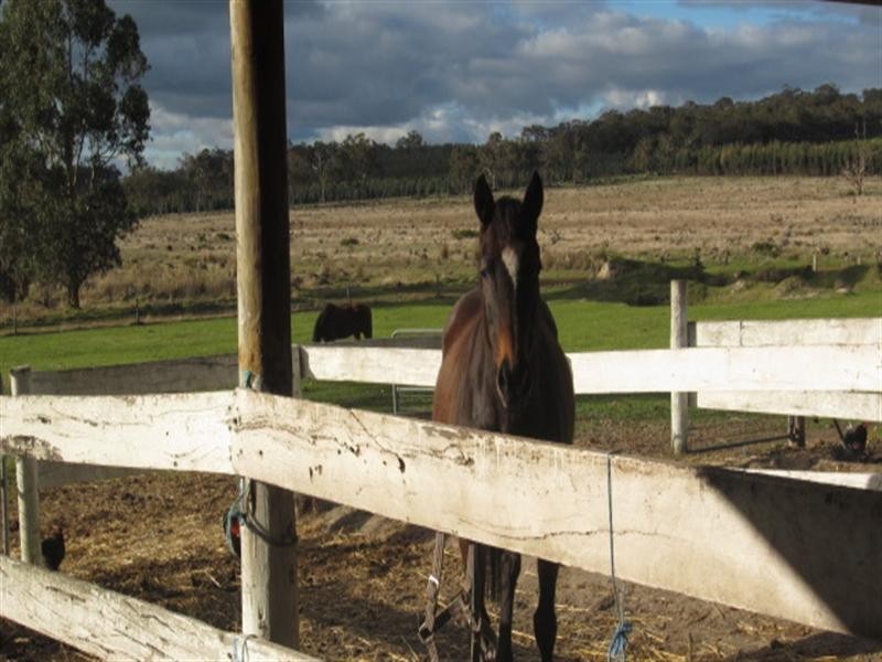 Lot 50 Porongurups Road, Mount Barker WA 6324