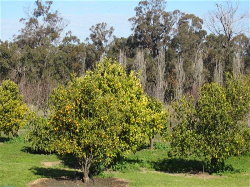 30803 Albany Highway, Mount Barker WA 6324