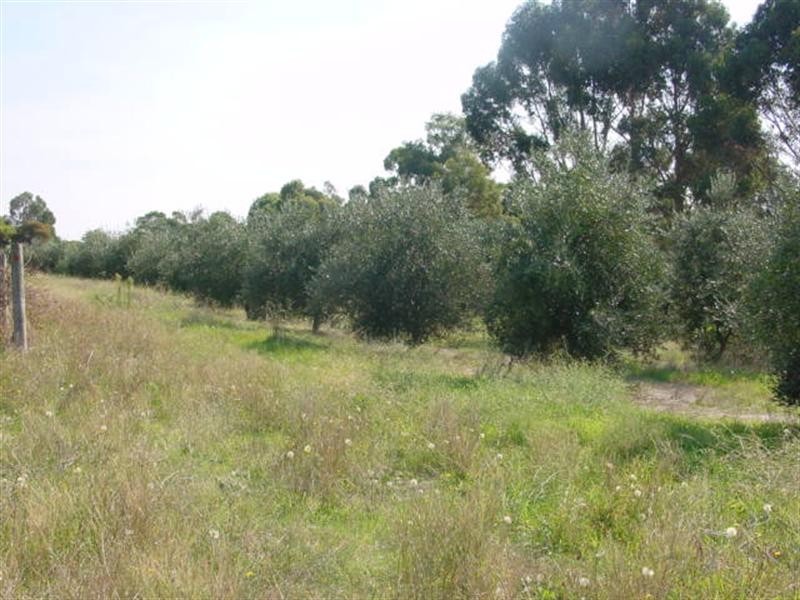 24 Marmion Street, Mount Barker WA 6324