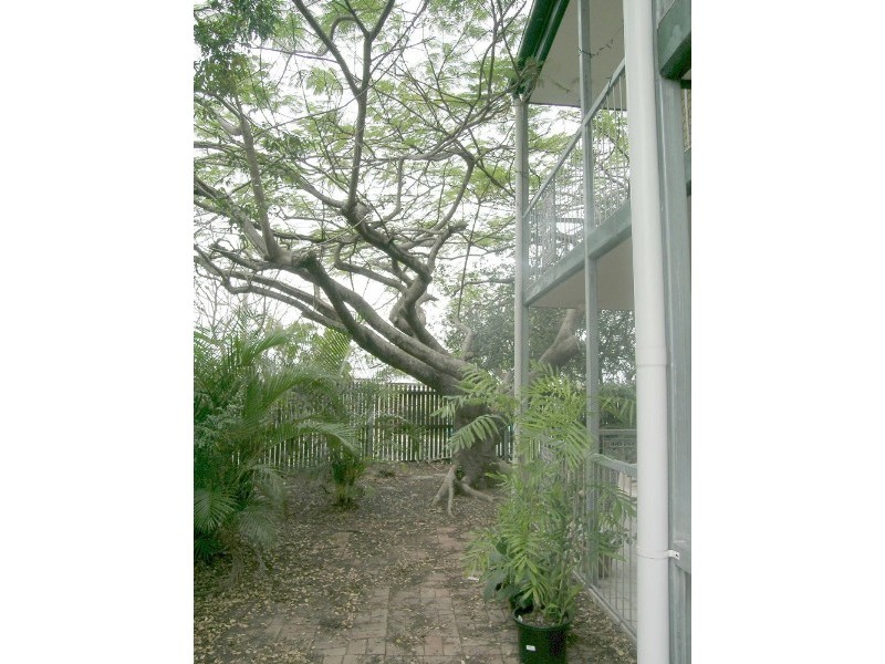 4 Woodland Street, Ashgrove QLD 4060