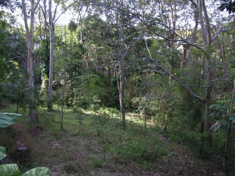 Arana Hills QLD 4054