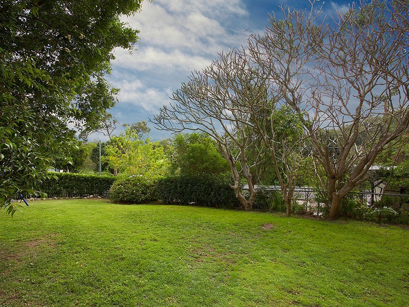55 Conifer Street, Alderley QLD 4051