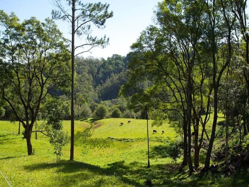 409 Maleny-Stanley River Road, Maleny QLD 4552