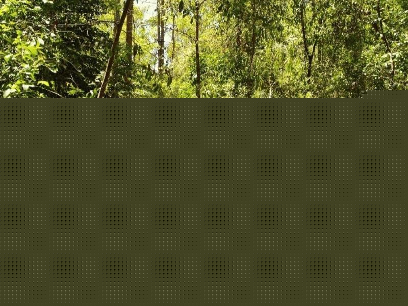 47 Old Mount Coot Tha Road, Toowong QLD 4066