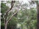 37 Eppalong Street, The Gap QLD 4061